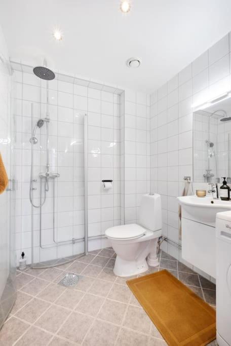 Apartment Loft In The Middle Of Center -2 Bedrooms Oslo